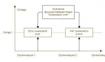 Функциональные опции и параметры функциональных опций Назначение функциональных опций